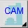 Cam