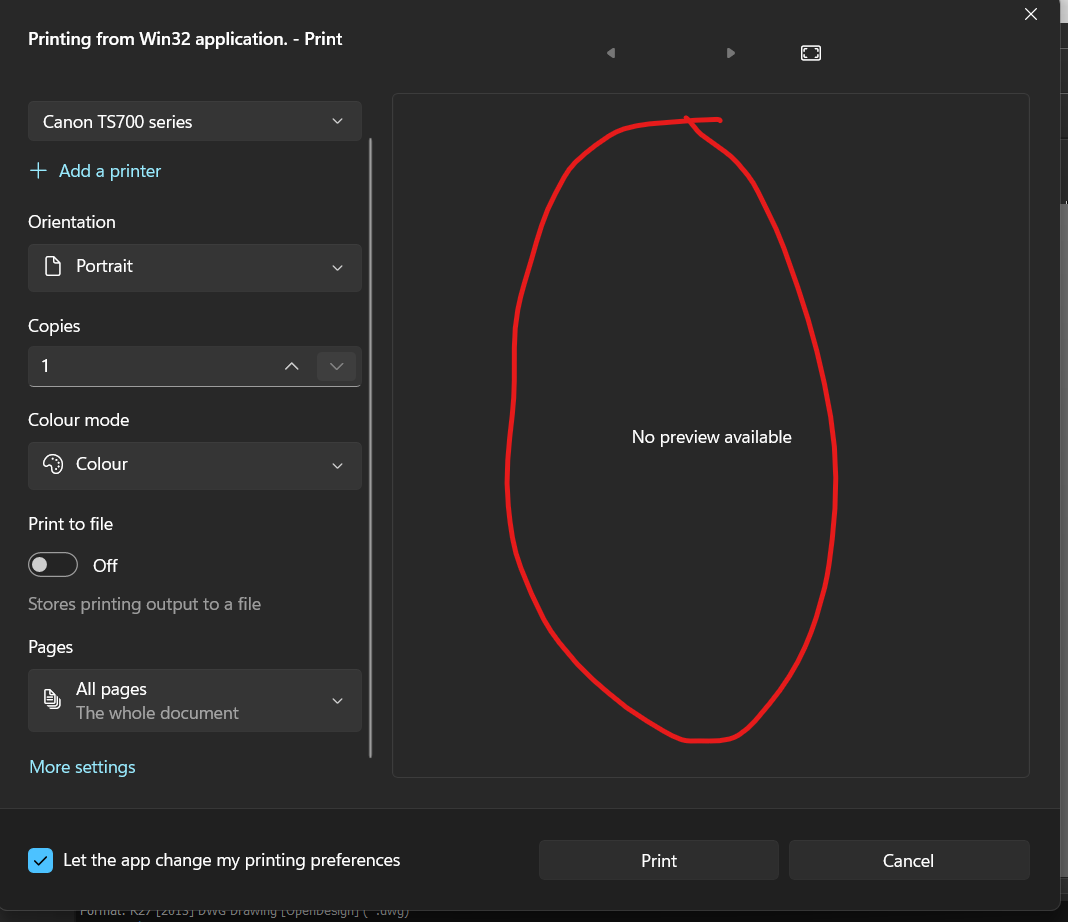 No print preview.png